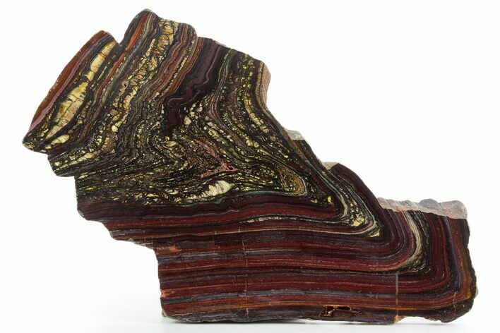 Polished Tiger Iron Stromatolite Slab - Billion Years #354901